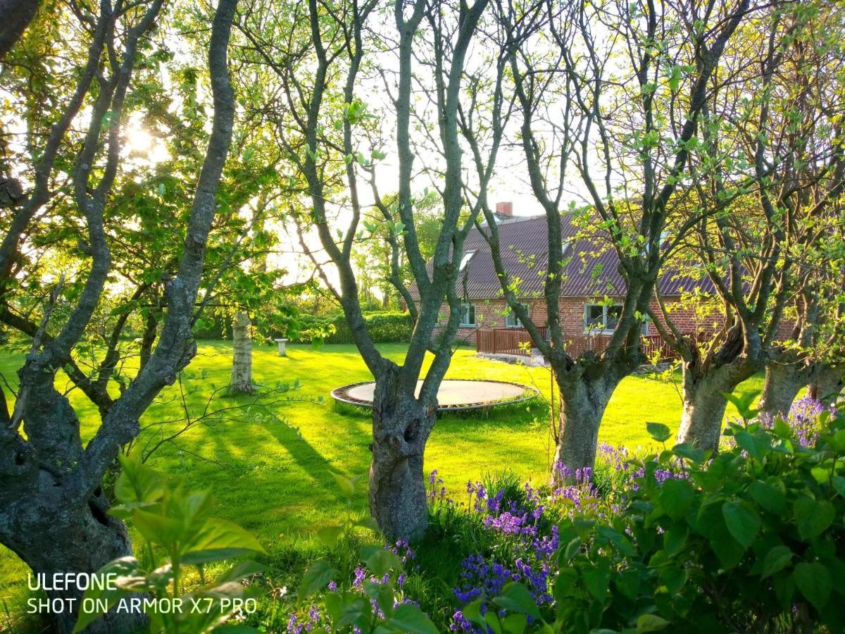 Lilleledgaard Country House Ринкёбинг Экстерьер фото
